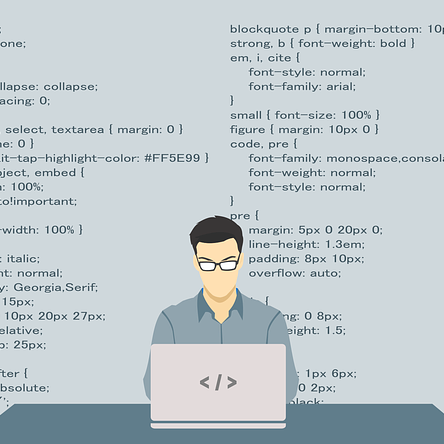 Programista